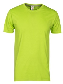 ACID GREEN