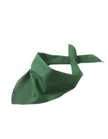 Triangular Scarf Kleur DARK GREEN