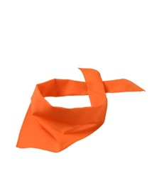 Triangular Scarf Kleur ORANGE