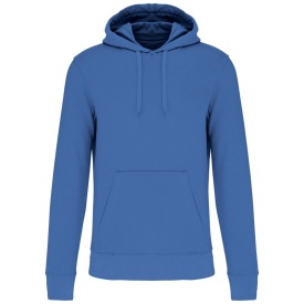 light royal blue