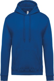 Hooded sweatshirt Eco K476 Kleur light royal blue