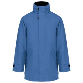 light royal blue