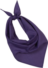Fiesta - Bandana Kleur PURPLE