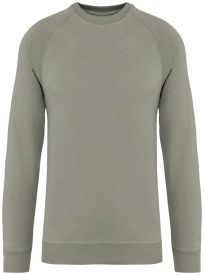 Unisex raglan sweater - 300 gr/m2 Kleur ALMOND GREEN