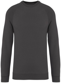 Unisex raglan sweater - 300 gr/m2 Kleur IRON GREY