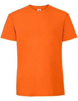Ringspun Premium T