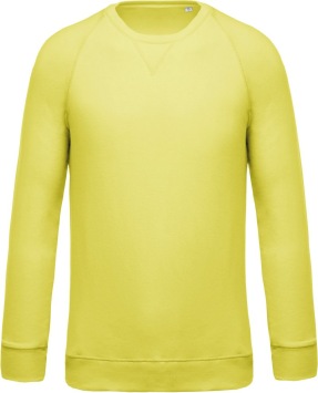 Organic cotton crew neck raglan sleeve sweatshirt K480