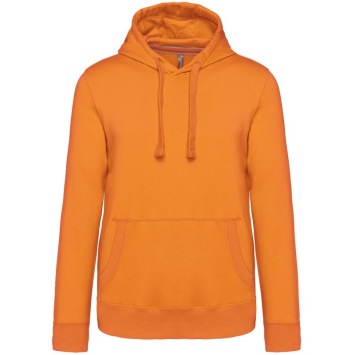 Hooded sweatshirt K489 300 gr LSF 60° wasbaar