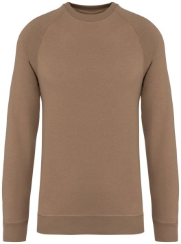 Unisex raglan sweater - 300 gr/m2
