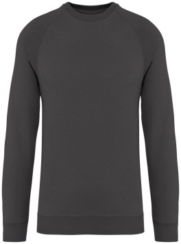 Unisex raglan sweater - 300 gr/m2